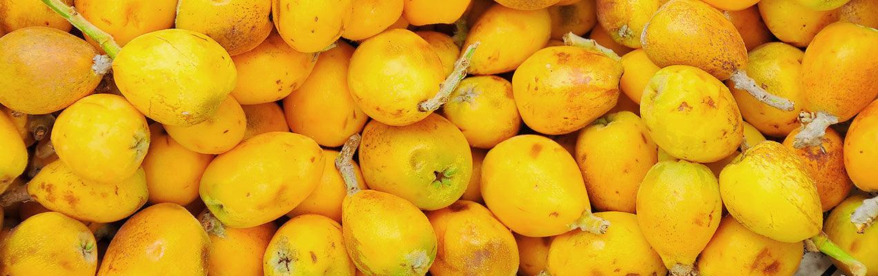 Marula Oil "Tree of Life" Beauty Oil - SILKTAGE